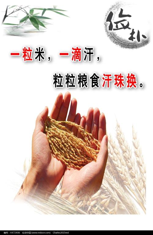 房产证编号在哪里写着